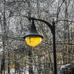 Golden  Globe #winterishere #worserphoto #sliceoflife #winterphotography #photooftheday #swedenimages #loves sweden