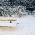 Snow #snow2019 #worserphoto #huweip20pro #photooftheday #awesome2019 #sliceoflife #photoforlike