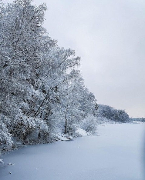 winterlandscape #winterwounderland #winteriscoming #worserphoto #sliceoflife #awesomeshot #awesomeday #sweden.jpg