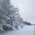 winterlandscape #winterwounderland #winteriscoming #worserphoto #sliceoflife #awesomeshot #awesomeday #sweden