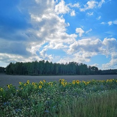 Landscape #landscape #sweden images #worserphoto #sliceoflife #photoforlike #instalandscape #huweip20pro