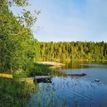 Nice view of The lake #sweden images #worserphoto #awesome shots #shittygreen #sliceoflife #swedensummer